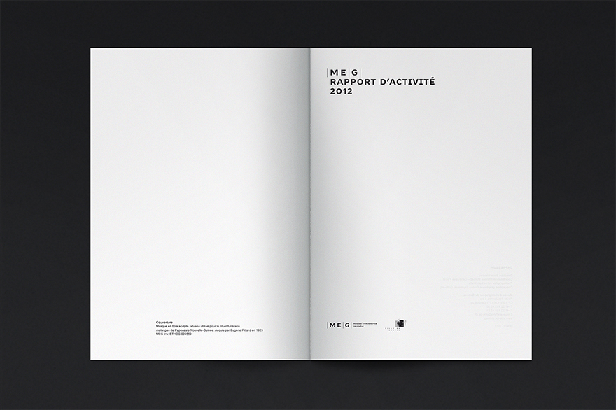 02_MEG_Rapport_activite