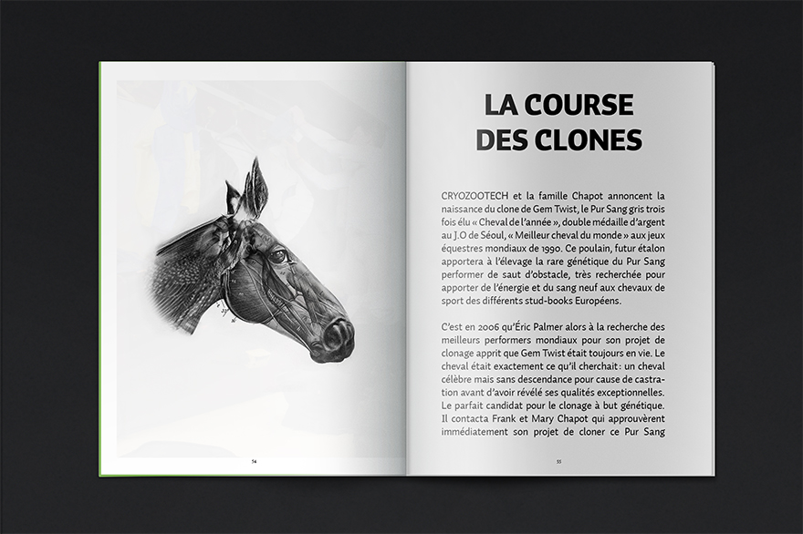 05_Race_Horsing