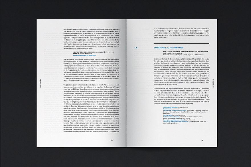 06_MEG_Rapport_activite