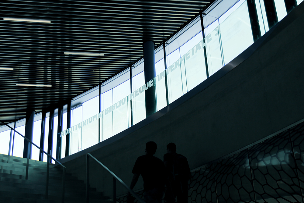 16_Maison_de_la_Paix_IHEID_Geneva