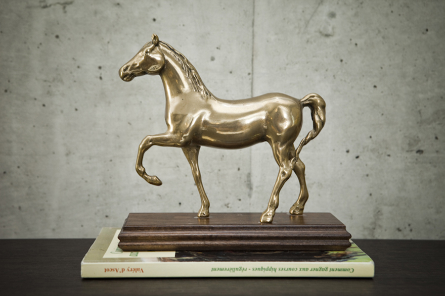 26_Race_Horsing